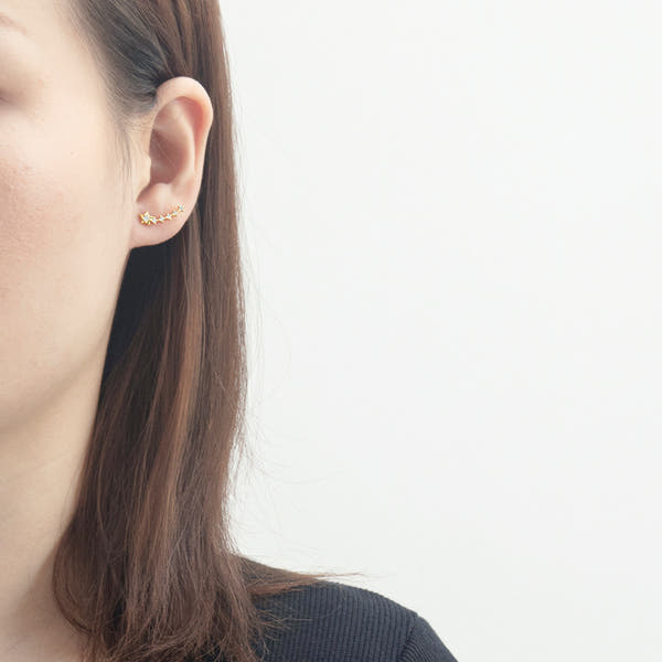 Silver Stud Earrings